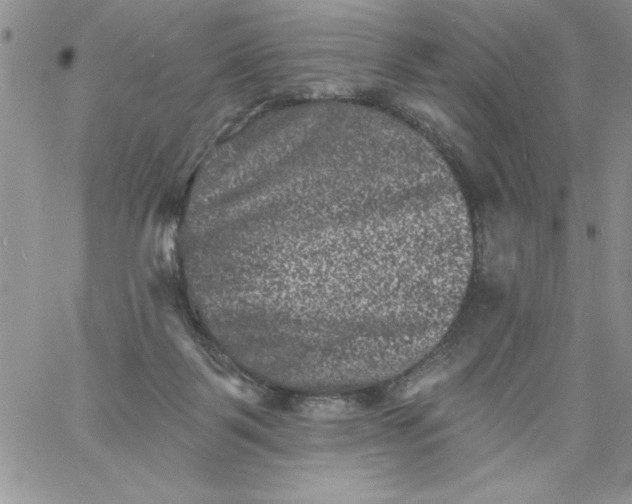 X0000060790123200511241855