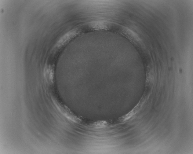 X0000060790124200511241855