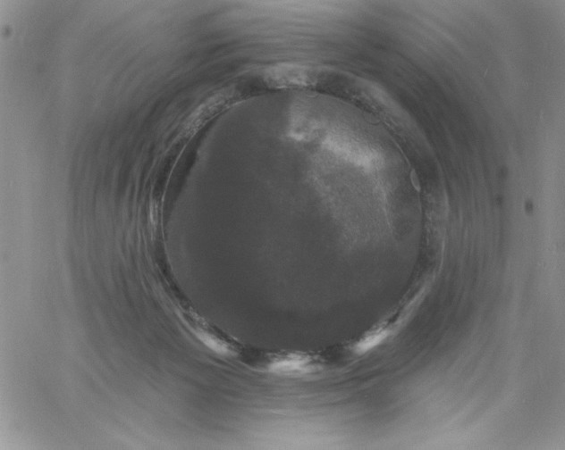 X0000060790125200511241855