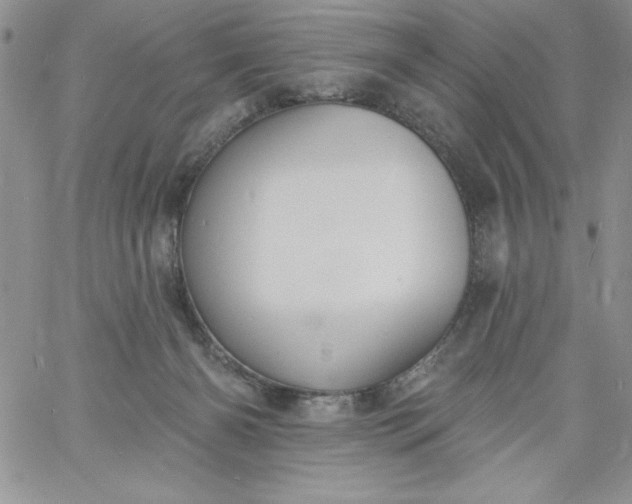 X0000060790126200511241855