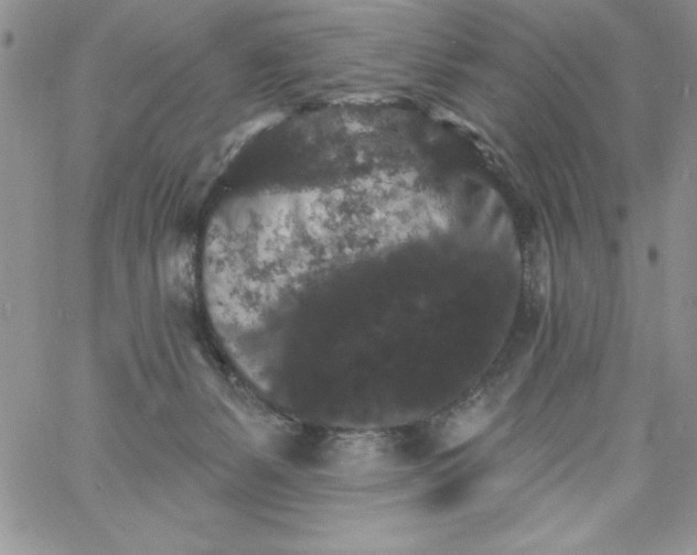 X0000060790127200511241855