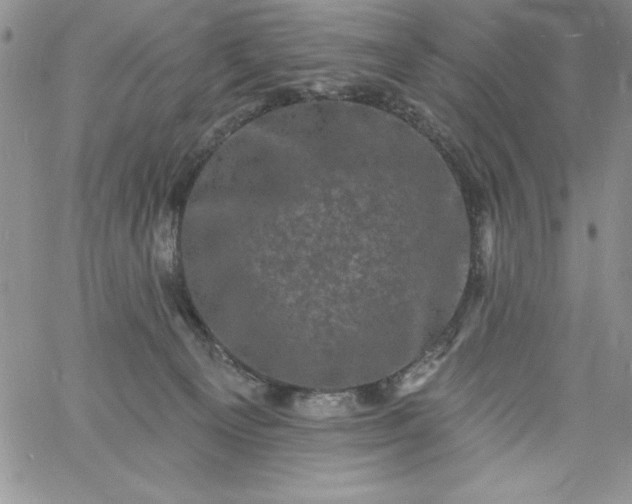 X0000060790129200511241855