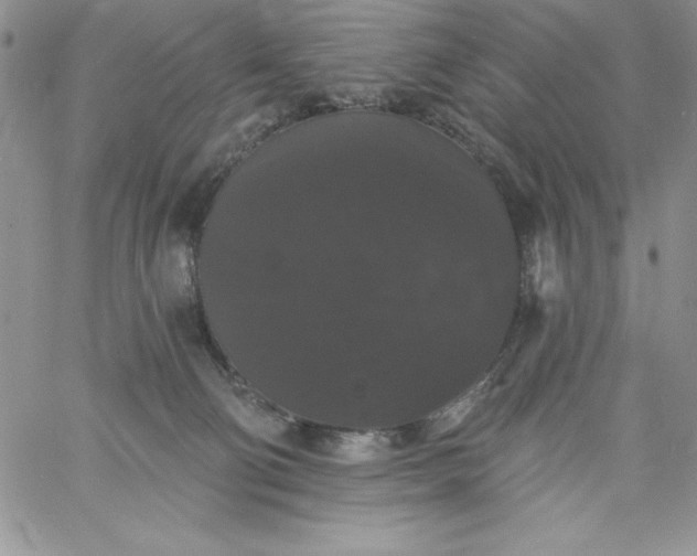 X0000060790130200511241855