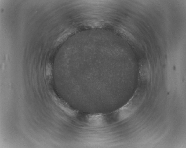 X0000060790132200511241855