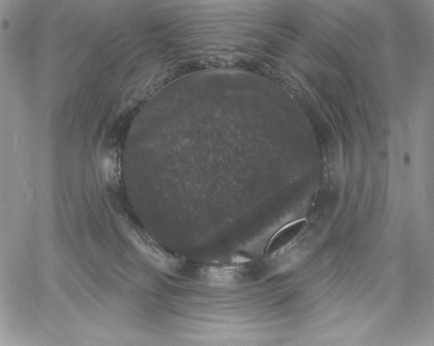 X0000060790134200511241854