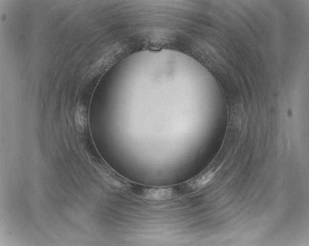 X0000060790135200511241854