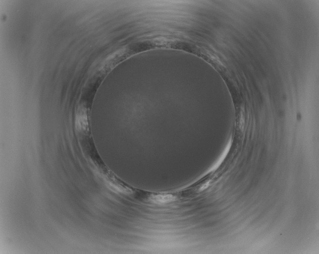 X0000060790137200511241854