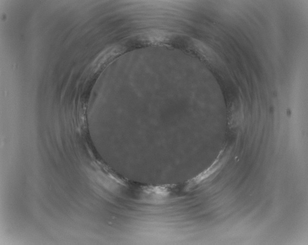 X0000060790140200511241854