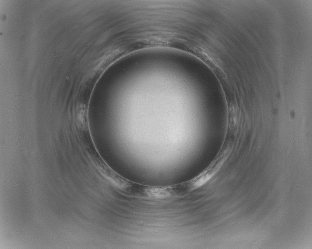 X0000060790141200511241854