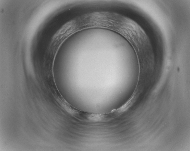 X0000060790142200511241854