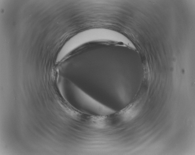 X0000060790143200511241854