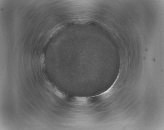 X0000060790144200511241854