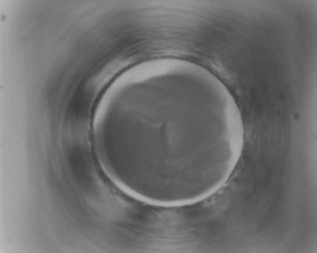 X0000060790146200511241854