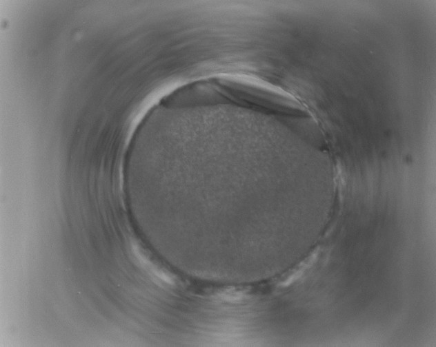 X0000060790148200511241854