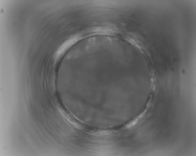 X0000060790149200511241854