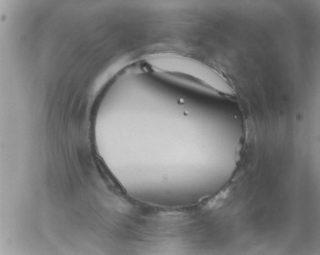 X0000060790150200511241854