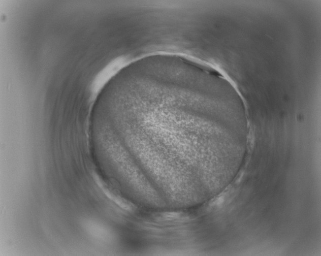 X0000060790151200511241854