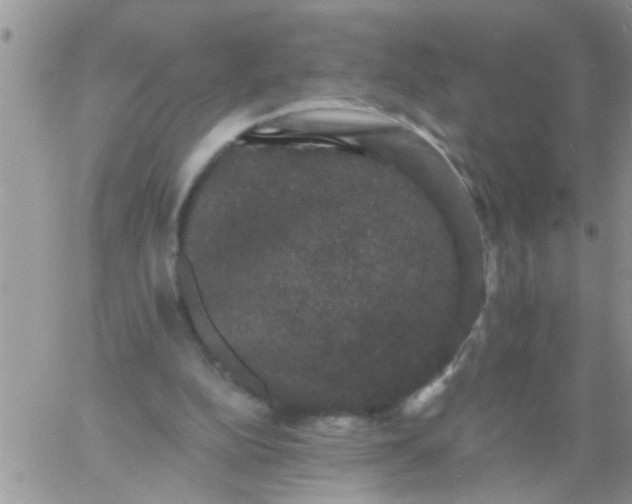 X0000060790152200511241854