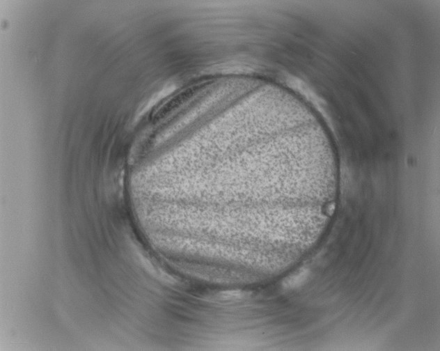 X0000060790153200511241854