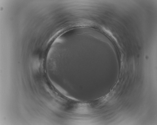 X0000060790154200511241854