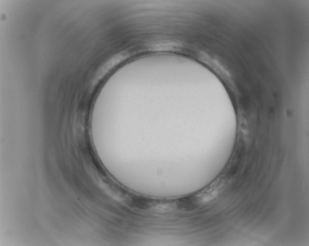 X0000060790155200511241854