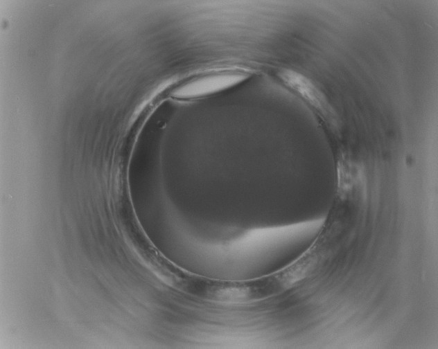 X0000060790156200511241854