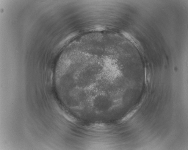 X0000060790157200511241854