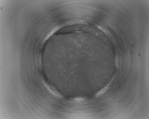 X0000060790158200511241854