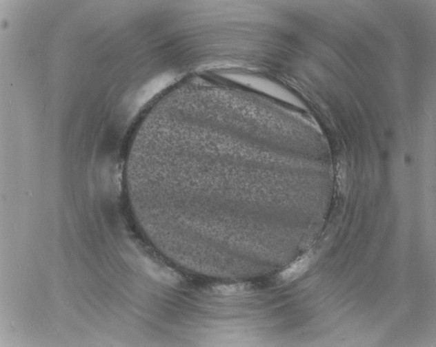 X0000060790160200511241854