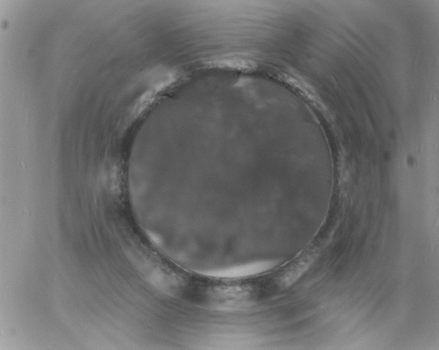 X0000060790161200511241854