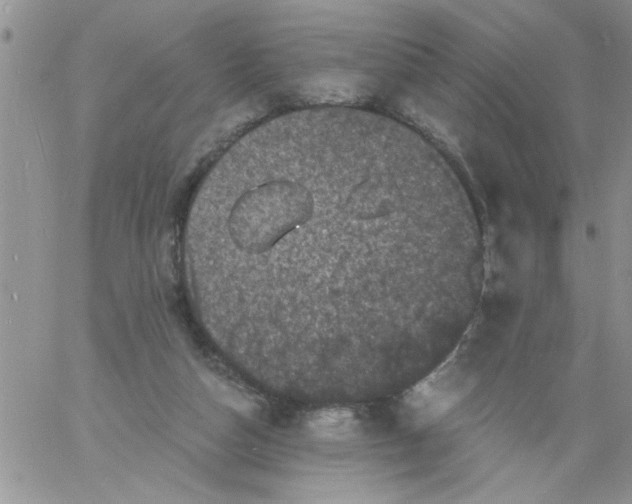 X0000060790162200511241854