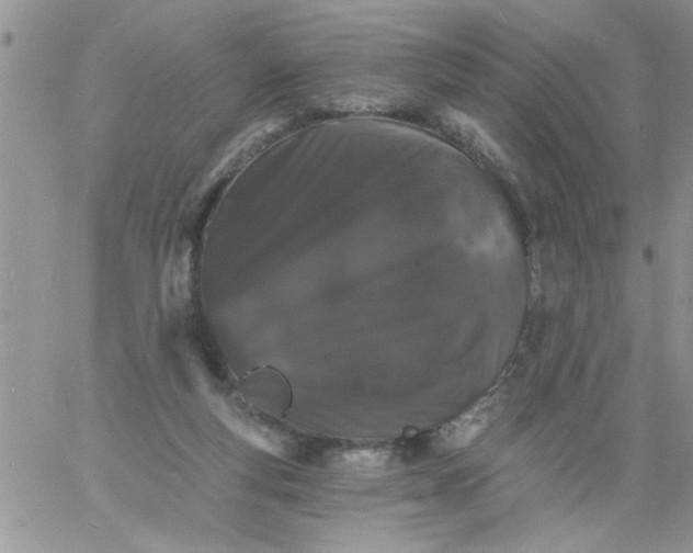 X0000060790163200511241854