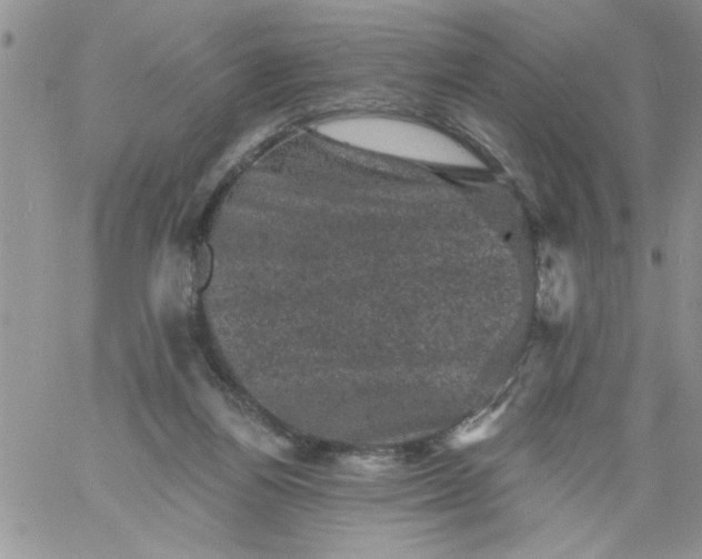 X0000060790164200511241854