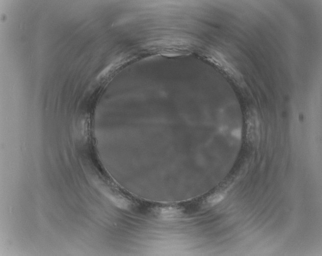 X0000060790165200511241854