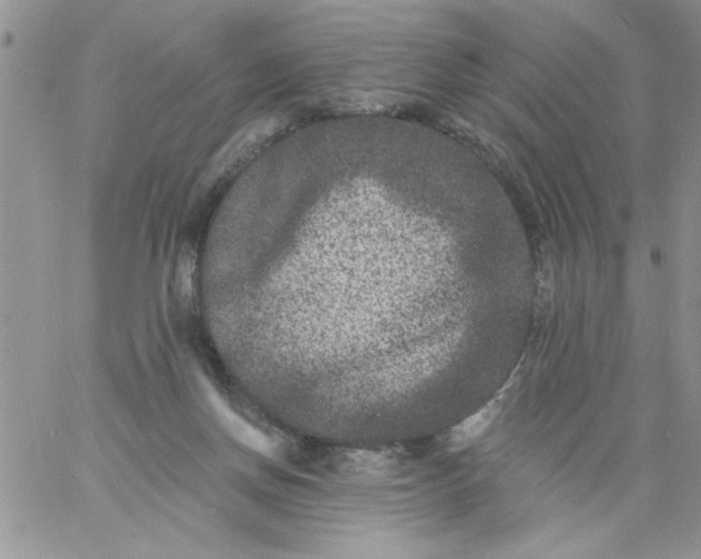 X0000060790166200511241854