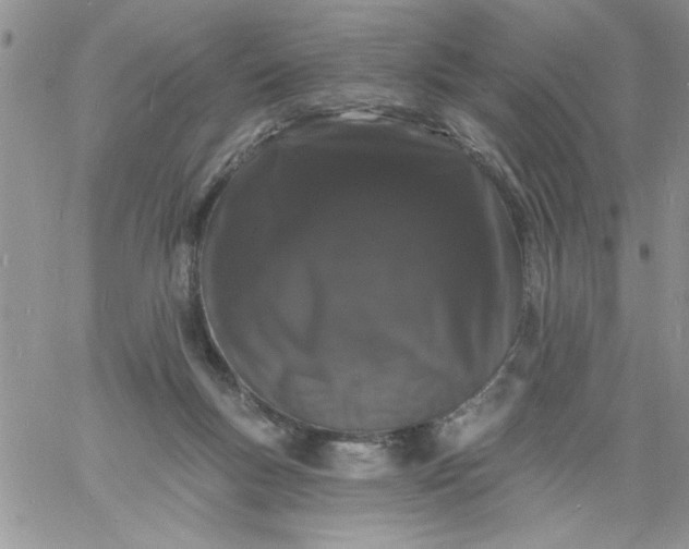 X0000060790167200511241854