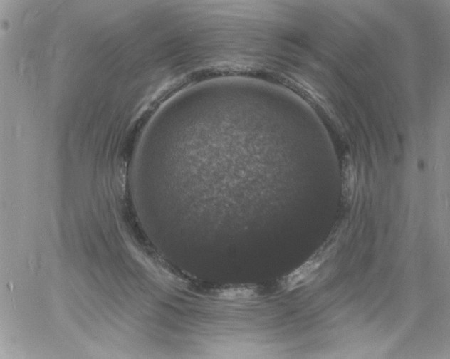 X0000060790168200511241854