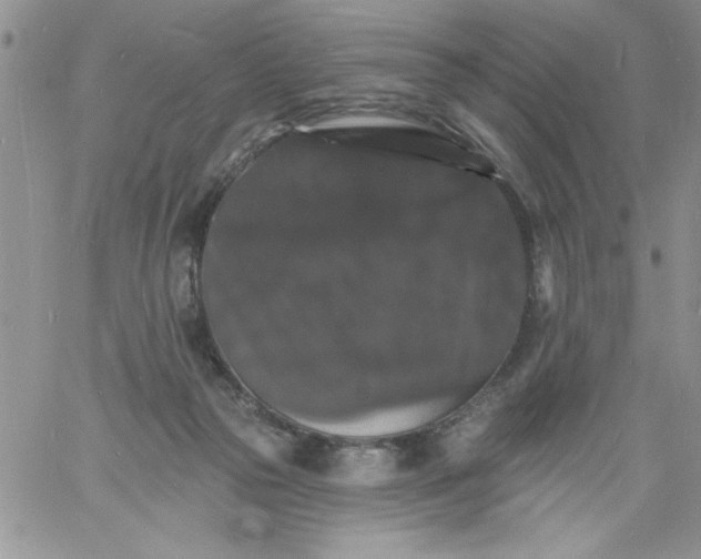 X0000060790169200511241854