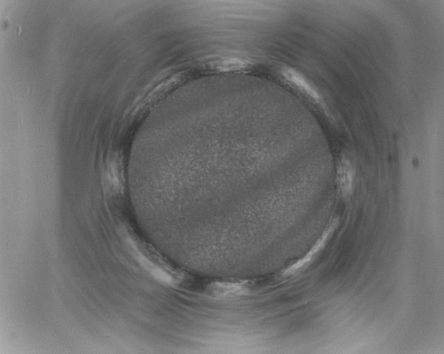 X0000060790170200511241854