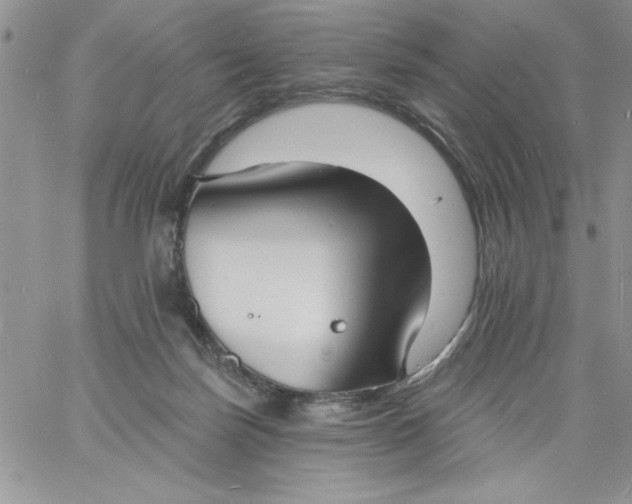 X0000060790171200511241854