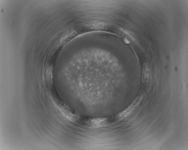 X0000060790172200511241854