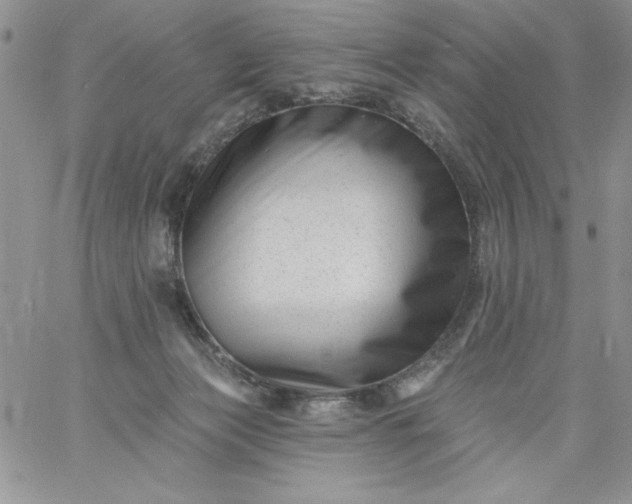 X0000060790173200511241854