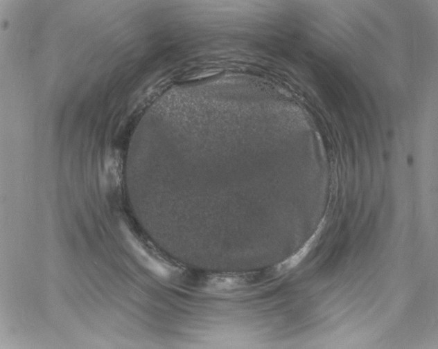 X0000060790174200511241854