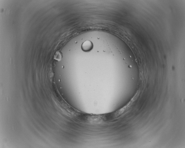 X0000060790175200511241854