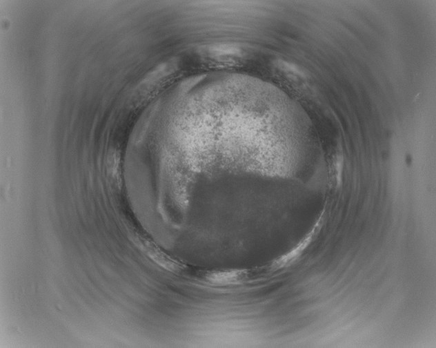 X0000060790178200511241854