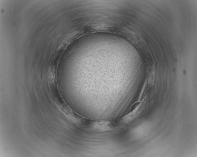 X0000060790179200511241854