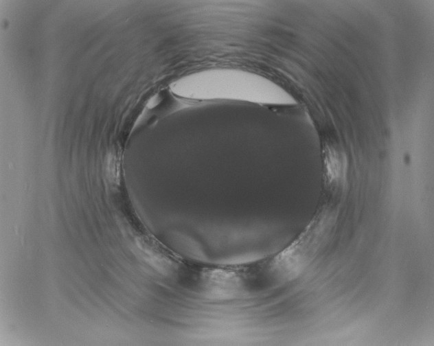 X0000060790180200511241854