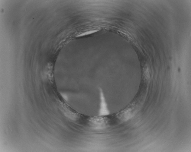 X0000060790181200511241854