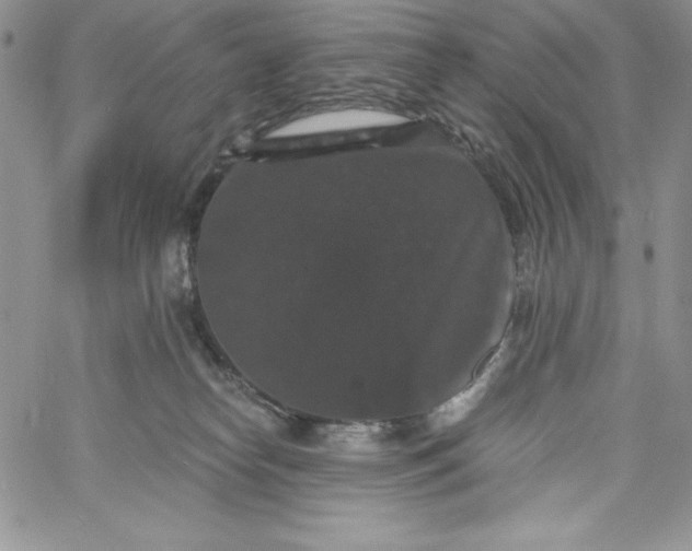 X0000060790182200511241854