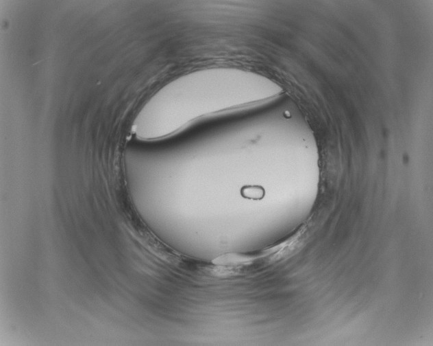 X0000060790184200511241854